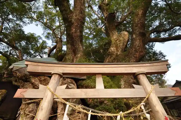 須賀神社(高知県)