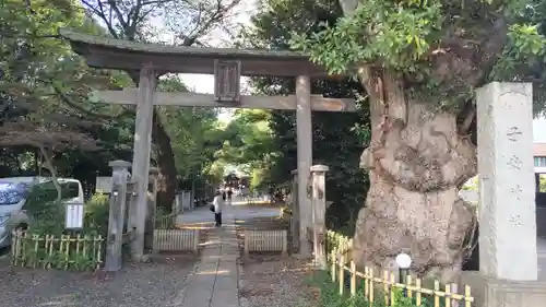 畑子安神社(千葉県)