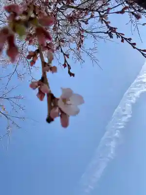 大石神社(京都府)