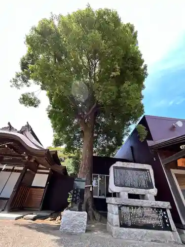 酒列磯前神社(茨城県)