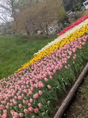 泉蔵寺(神奈川県)