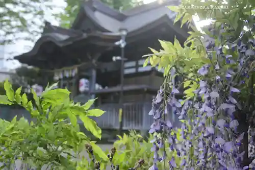 滝野川八幡神社(東京都)