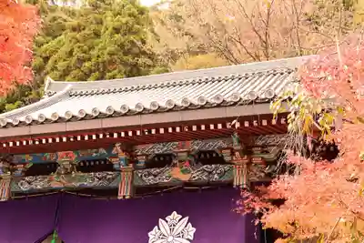 禅林寺(永観堂)(京都府)