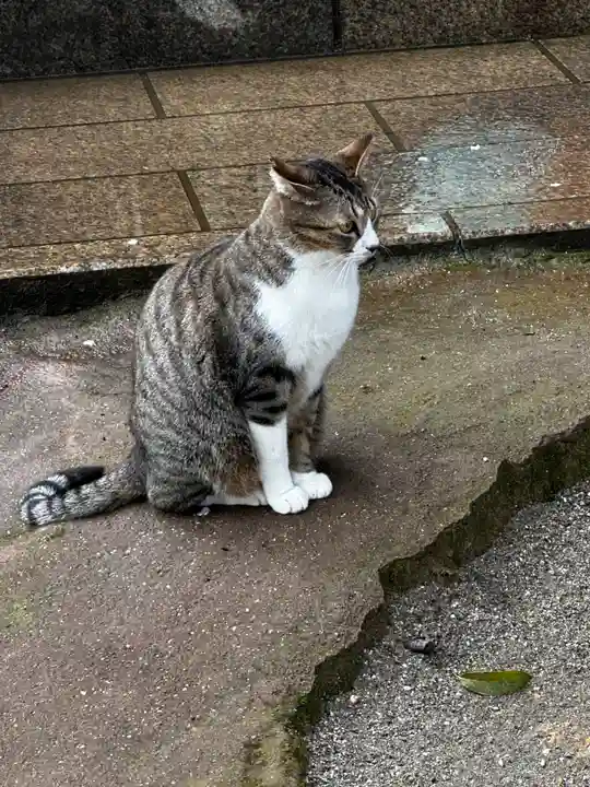 王子神社(徳島県)