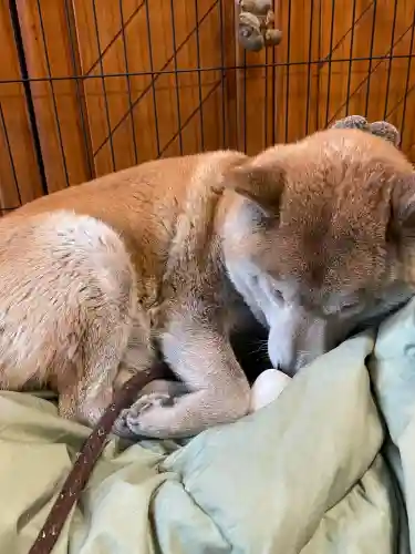 笠䅣稲荷神社(神奈川県)