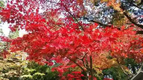 輪王寺の庭園