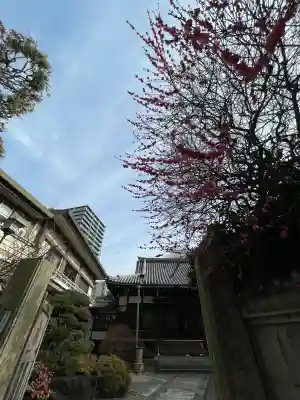 専光寺の{uncategorized: "未分類", other: "その他", undefined: "問題あり", building: "その他建物", grave: "お墓", sacred_gate: "鳥居", guardian: "狛犬", statue: "像", buddha: "仏像", history: "歴史", nature: "自然", garden: "庭園", animal: "動物", pagoda: "塔", temizu: "手水舎", mountain_gate: "山門・神門", sanctuary: "本殿・本堂", subordinate: "末社・摂社", art: "芸術", scenery: "景色", jizo: "地蔵", ema: "絵馬", goshuin: "御朱印", omikuji: "おみくじ", items: "授与品その他", amulet: "お守り", goshuincho: "御朱印帳", eats: "食事", festival: "お祭り", votive_dance: "神楽", shichigosan: "七五三参", wedding: "結婚式", experience: "体験その他", initially: "初詣", around: "周辺", anti_infection: "感染症対策"}