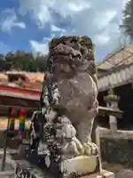 金剛山瑞峯寺(金剛不動尊) の狛犬