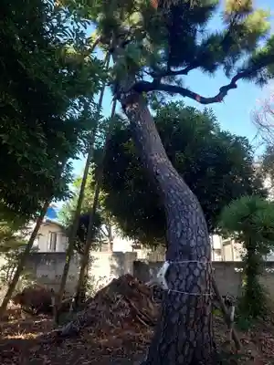 西小松川天祖神社(東京都)