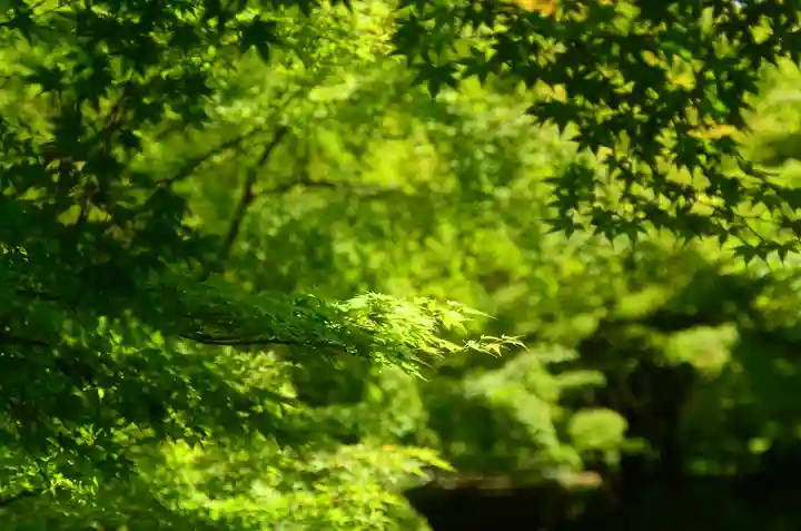 智積院(京都府)