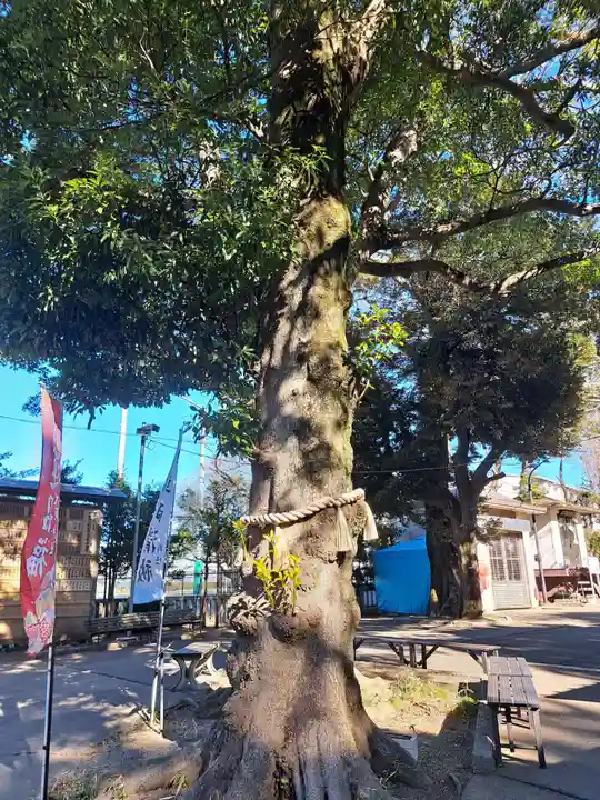 大宮・大原神社(千葉県)
