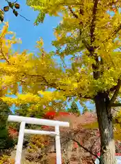 土津神社｜こどもと出世の神さまの鳥居