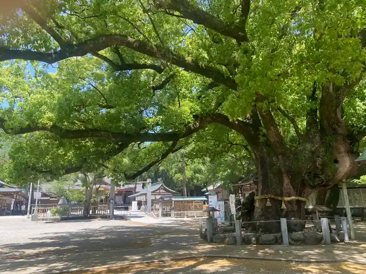 大麻比古神社(徳島県)