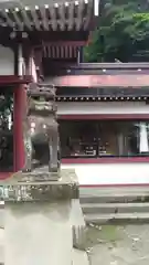 鹿児島神社の狛犬