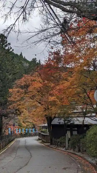 丹生川上神社(中社)(奈良県)
