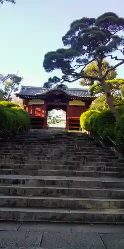 護国寺の山門