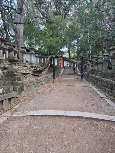 春日大社(奈良県)