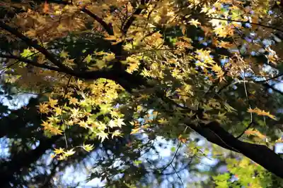 菅船神社の自然