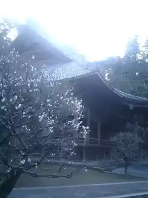 妙本寺のその他建物