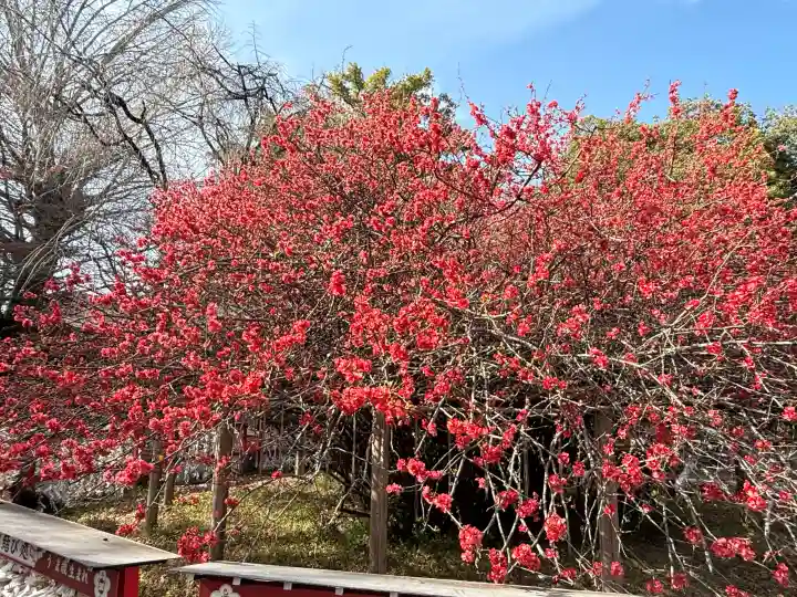 冠稲荷神社の{uncategorized: "未分類", other: "その他", undefined: "問題あり", building: "その他建物", grave: "お墓", sacred_gate: "鳥居", guardian: "狛犬", statue: "像", buddha: "仏像", history: "歴史", nature: "自然", garden: "庭園", animal: "動物", pagoda: "塔", temizu: "手水舎", mountain_gate: "山門・神門", sanctuary: "本殿・本堂", subordinate: "末社・摂社", art: "芸術", scenery: "景色", jizo: "地蔵", ema: "絵馬", goshuin: "御朱印", omikuji: "おみくじ", items: "授与品その他", amulet: "お守り", goshuincho: "御朱印帳", eats: "食事", festival: "お祭り", votive_dance: "神楽", shichigosan: "七五三参", wedding: "結婚式", experience: "体験その他", initially: "初詣", around: "周辺", anti_infection: "感染症対策"}