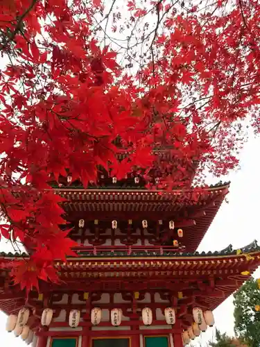 高幡不動尊　金剛寺の御朱印