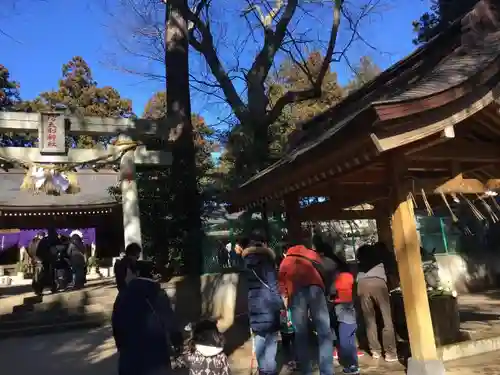 阿夫利神社の鳥居