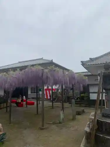 竹鼻別院(岐阜県)