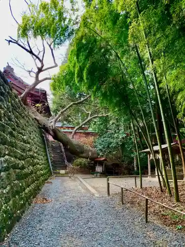 志波彦神社・鹽竈神社(宮城県)