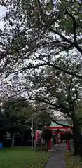 日枝神社の鳥居