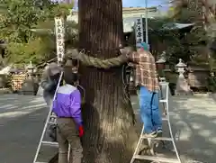 比々多神社の自然