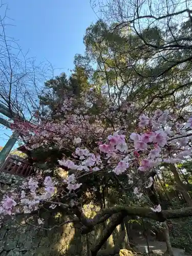 久能山東照宮の{uncategorized: "未分類", other: "その他", undefined: "問題あり", building: "その他建物", grave: "お墓", sacred_gate: "鳥居", guardian: "狛犬", statue: "像", buddha: "仏像", history: "歴史", nature: "自然", garden: "庭園", animal: "動物", pagoda: "塔", temizu: "手水舎", mountain_gate: "山門・神門", sanctuary: "本殿・本堂", subordinate: "末社・摂社", art: "芸術", scenery: "景色", jizo: "地蔵", ema: "絵馬", goshuin: "御朱印", omikuji: "おみくじ", items: "授与品その他", amulet: "お守り", goshuincho: "御朱印帳", eats: "食事", festival: "お祭り", votive_dance: "神楽", shichigosan: "七五三参", wedding: "結婚式", experience: "体験その他", initially: "初詣", around: "周辺", anti_infection: "感染症対策"}