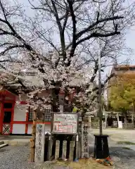 玉造稲荷神社の自然