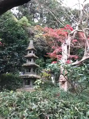 杉本寺の塔