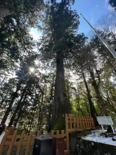 須山浅間神社のその他建物