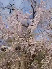 豊國神社(大阪府)