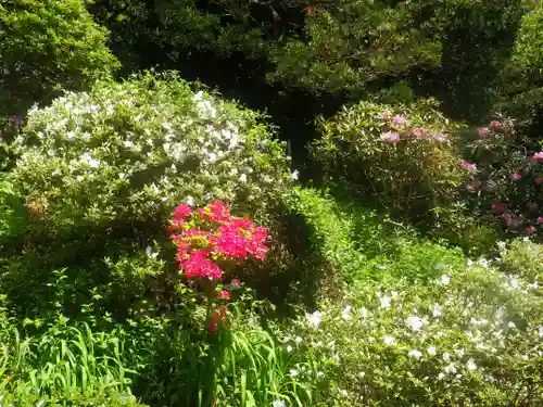 浄光明寺の庭園
