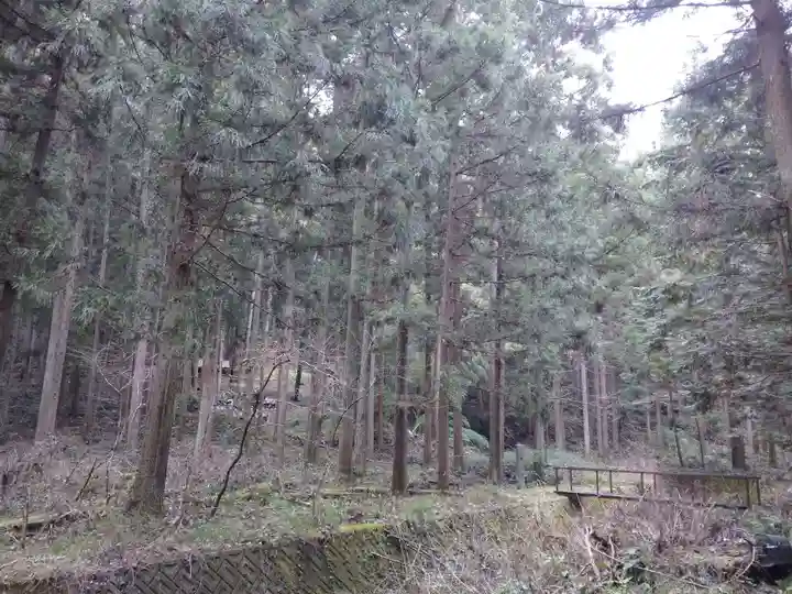 諏訪神社の自然