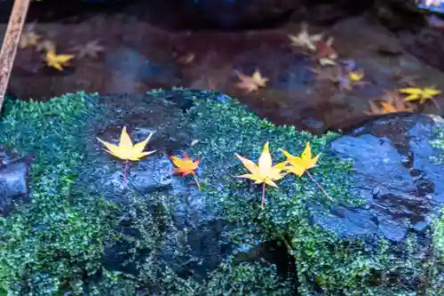 貴船神社奥宮(京都府)