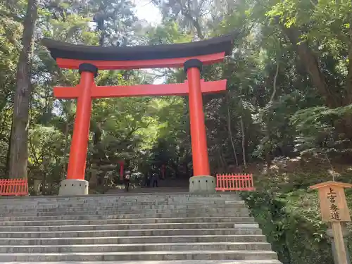 宇佐神宮の鳥居