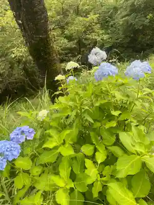 三毳神社（奥宮）(栃木県)