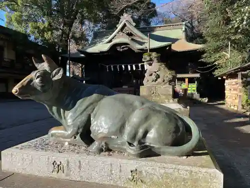 谷保天満宮の狛犬