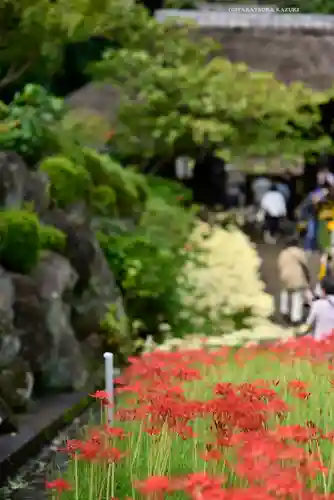 横浜　西方寺(神奈川県)