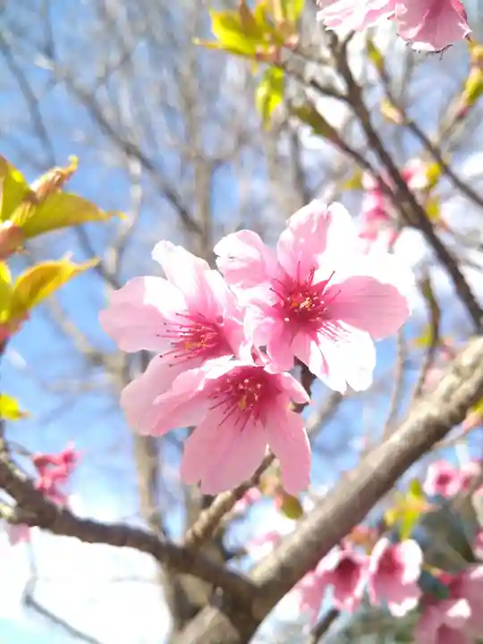 足高神社の自然