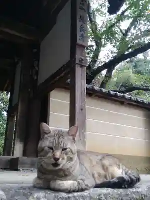 長岳寺(奈良県)