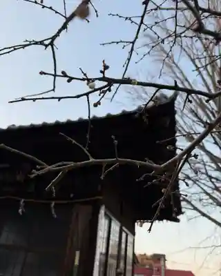 温泉神社〜いわき湯本温泉〜(福島県)