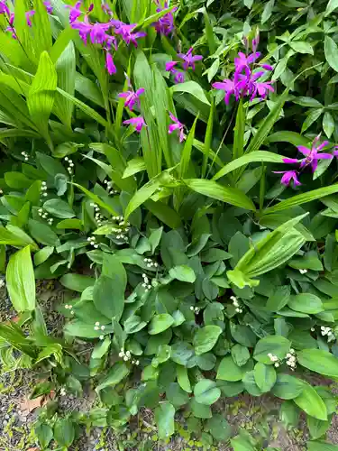 福井神社(福井県)