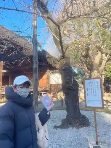 靖國神社(東京都)