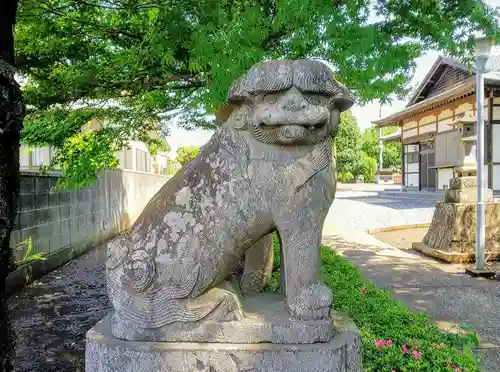 針ヶ谷氷川神社の狛犬