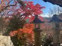 長谷寺(奈良県)