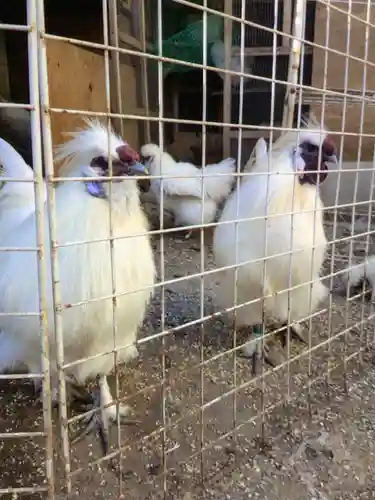 榮久山大法寺(東京都)